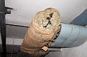 20100103_028