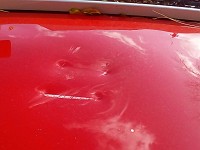 IMG 20171029 090226